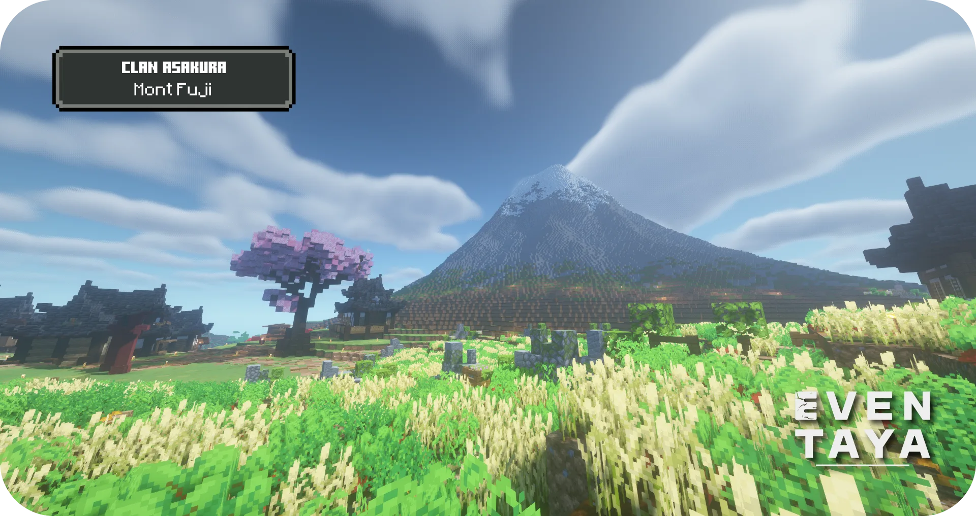 Image serveur